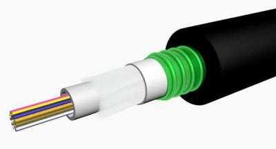 GYXT6S-12B1.3 OFC-12G.652D-CGStD-S1