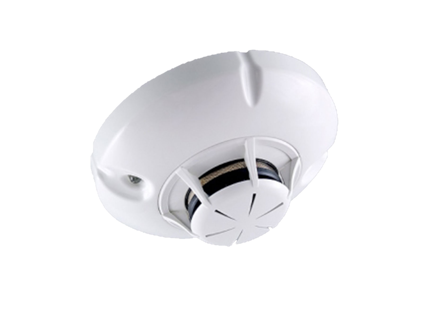 Primary product image